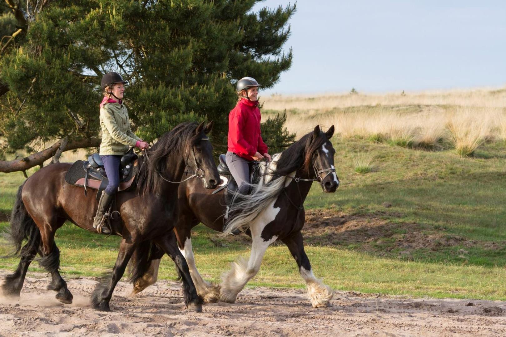 Vakantiehuis Op Rustig Bospark Veluwe Вортхёйзен Экстерьер фото