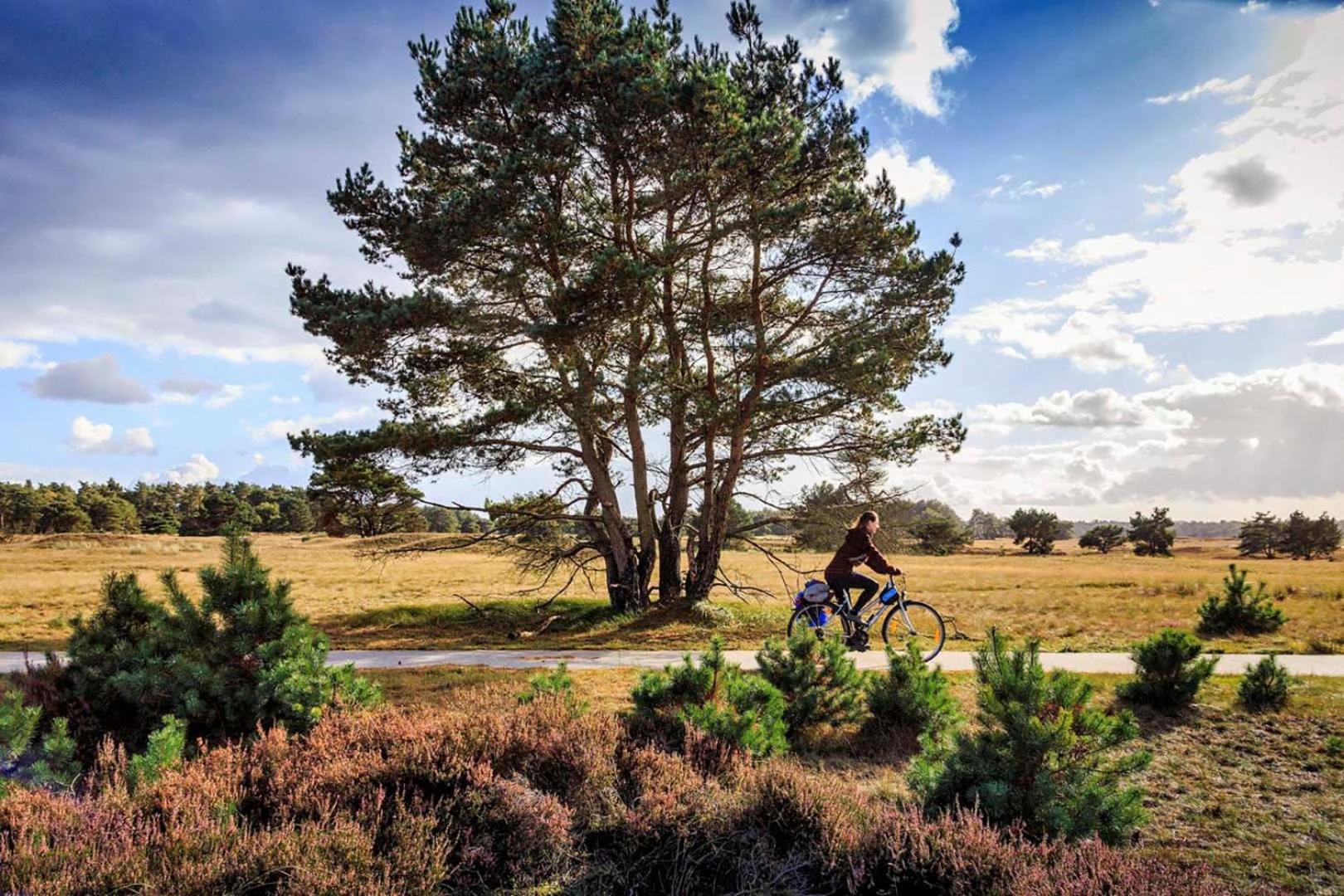 Vakantiehuis Op Rustig Bospark Veluwe Вортхёйзен Экстерьер фото