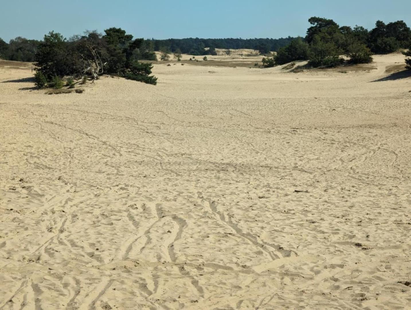 Vakantiehuis Op Rustig Bospark Veluwe Вортхёйзен Экстерьер фото