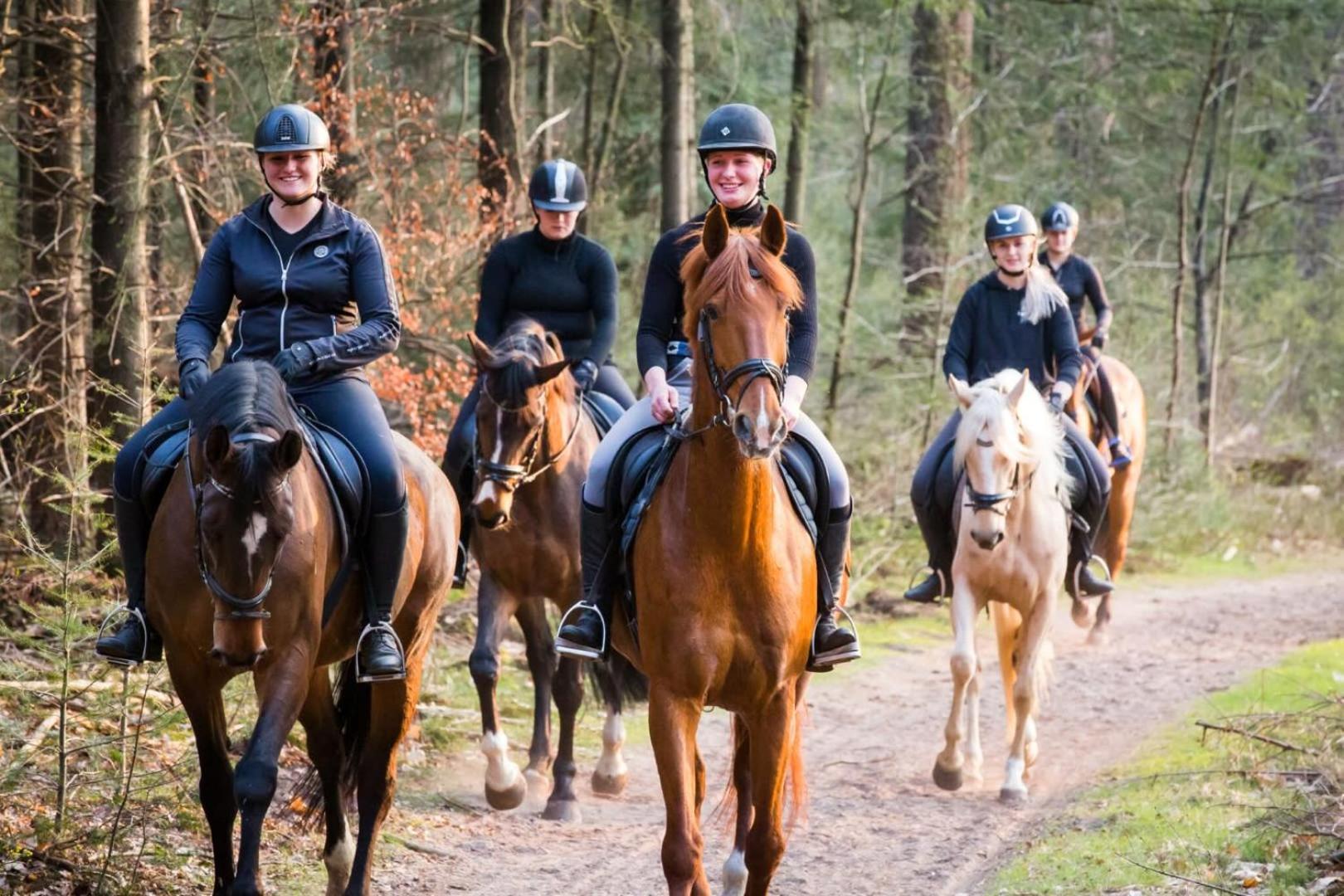 Vakantiehuis Op Rustig Bospark Veluwe Вортхёйзен Экстерьер фото